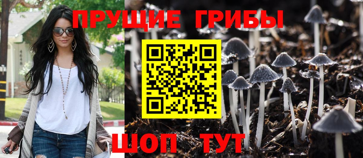 Рузаевка  Псилоцибиновые грибы Cubensis  купить закладку  Галлюциногенные грибы Psilocybine cubensis  Вход с VPN 